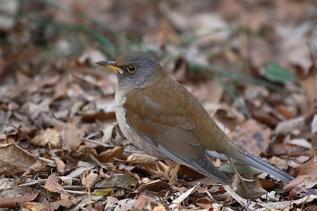 f0357487_22451490.jpg