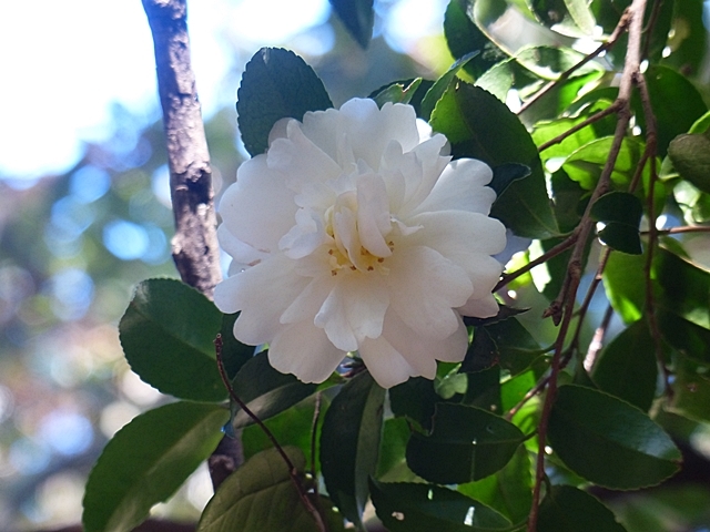 f0357487_22454575.jpg