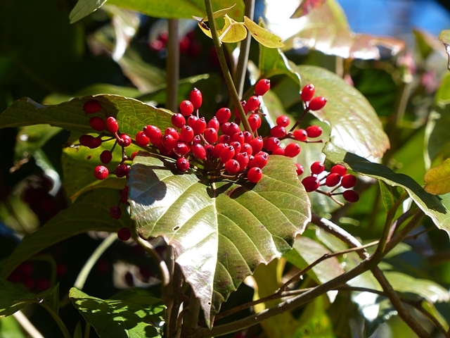 f0357487_22463174.jpg