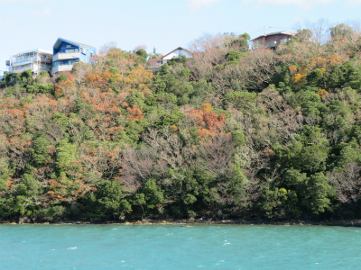 c0125501_22013717.jpg