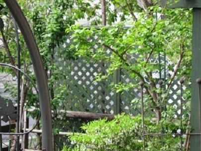 f0325309_15423963.jpg