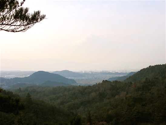 a0164011_21090905.jpg