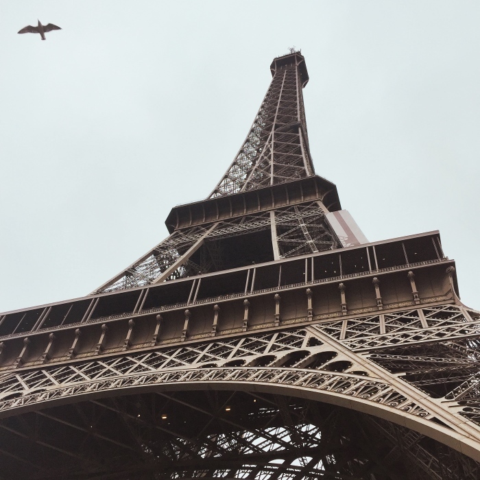 d0138811_13380550.jpeg