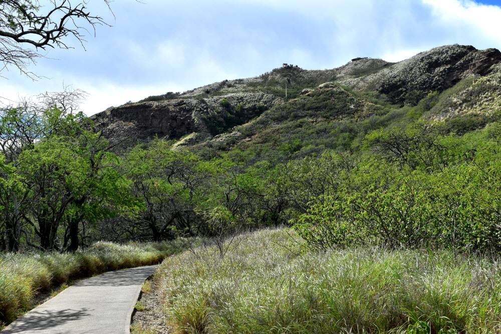 f0212511_16451131.jpg