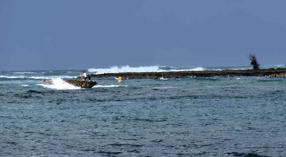 f0212511_16504001.jpg