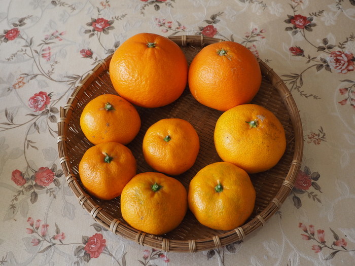 紅マドンナ_c0116915_23074999.jpg