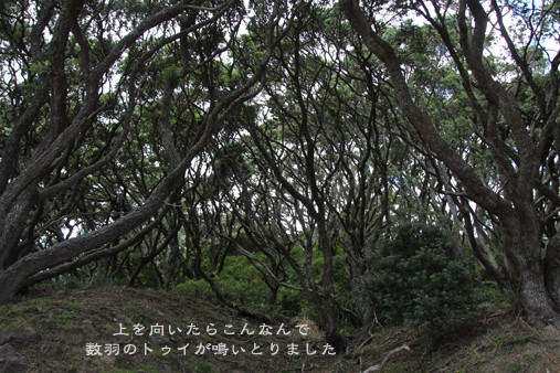 d0042827_19273167.jpg