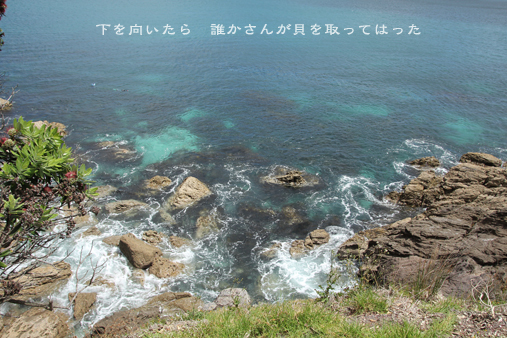 d0042827_19274374.jpg
