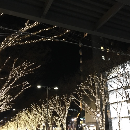 a0291132_18325882.jpeg