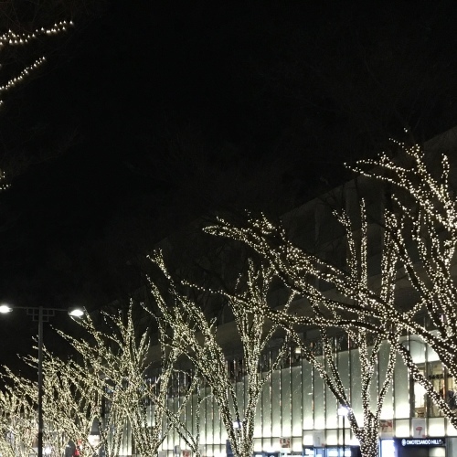 a0291132_18334303.jpeg