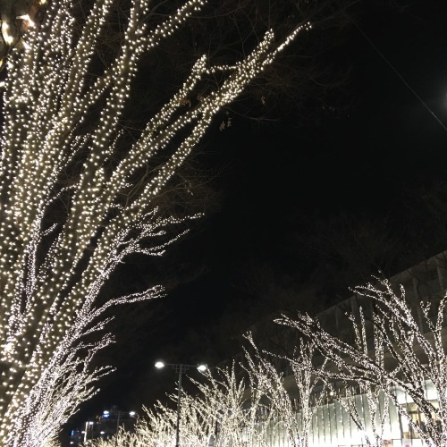 a0291132_18340436.jpeg