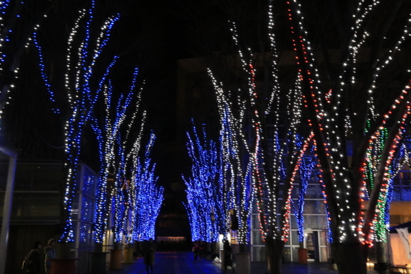 f0229832_09415922.jpg