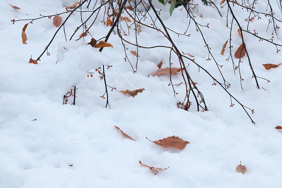 雪のある風景_c0067040_21514121.jpg