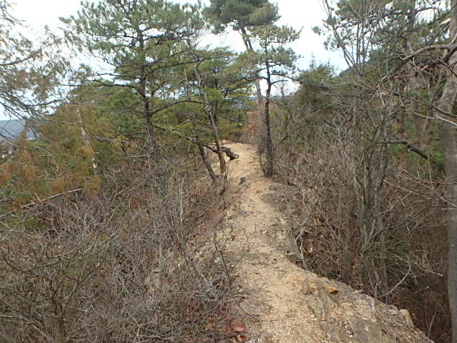 f0334143_8495955.jpg