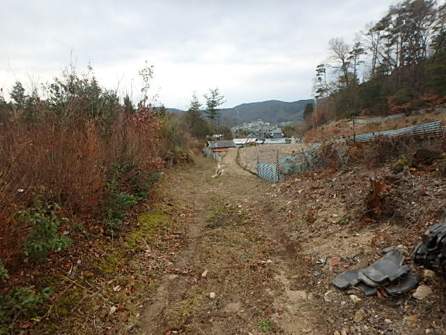 f0334143_8592677.jpg
