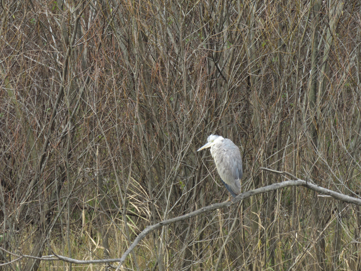 f0214649_04323984.jpg