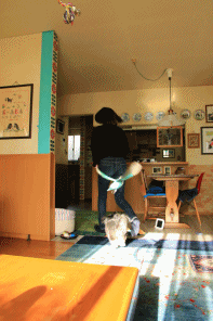 c0145250_11162989.gif