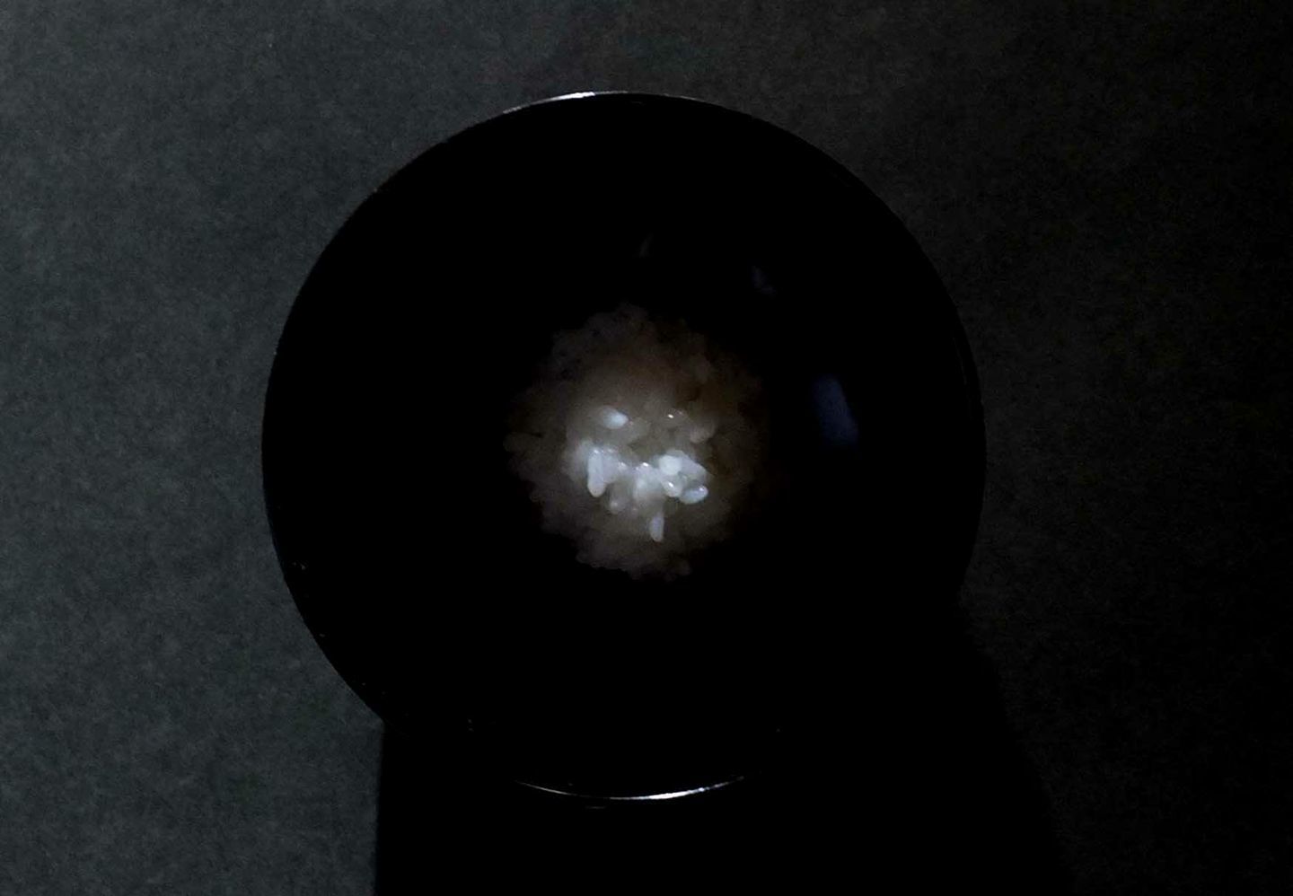 a0097967_14314430.jpg