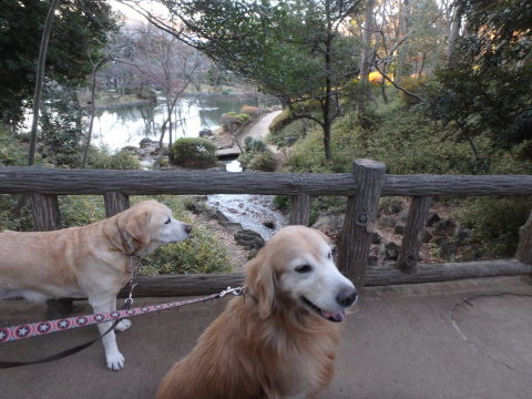 f0052277_01552064.jpg