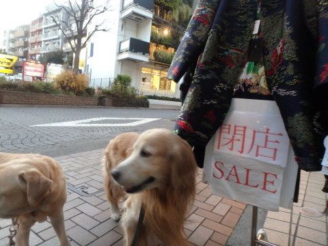 f0052277_02011102.jpg