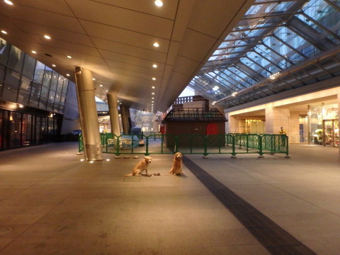 f0052277_02064033.jpg