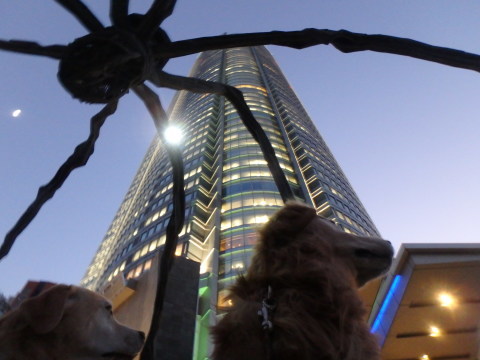 f0052277_02074349.jpg