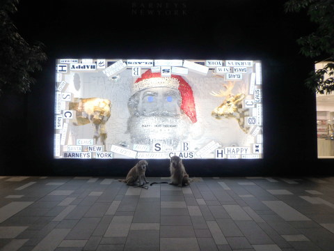 f0052277_02082215.jpg