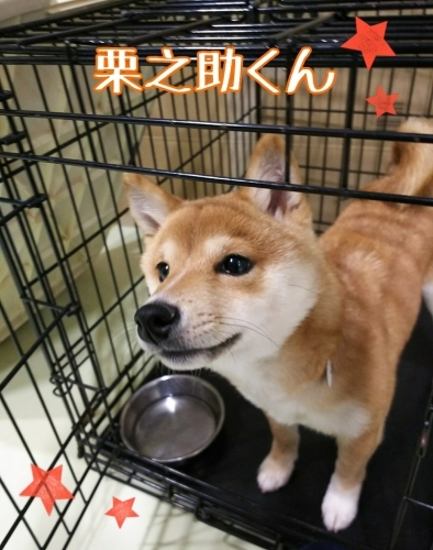 トレーニングブログ_f0357682_16134299.jpg