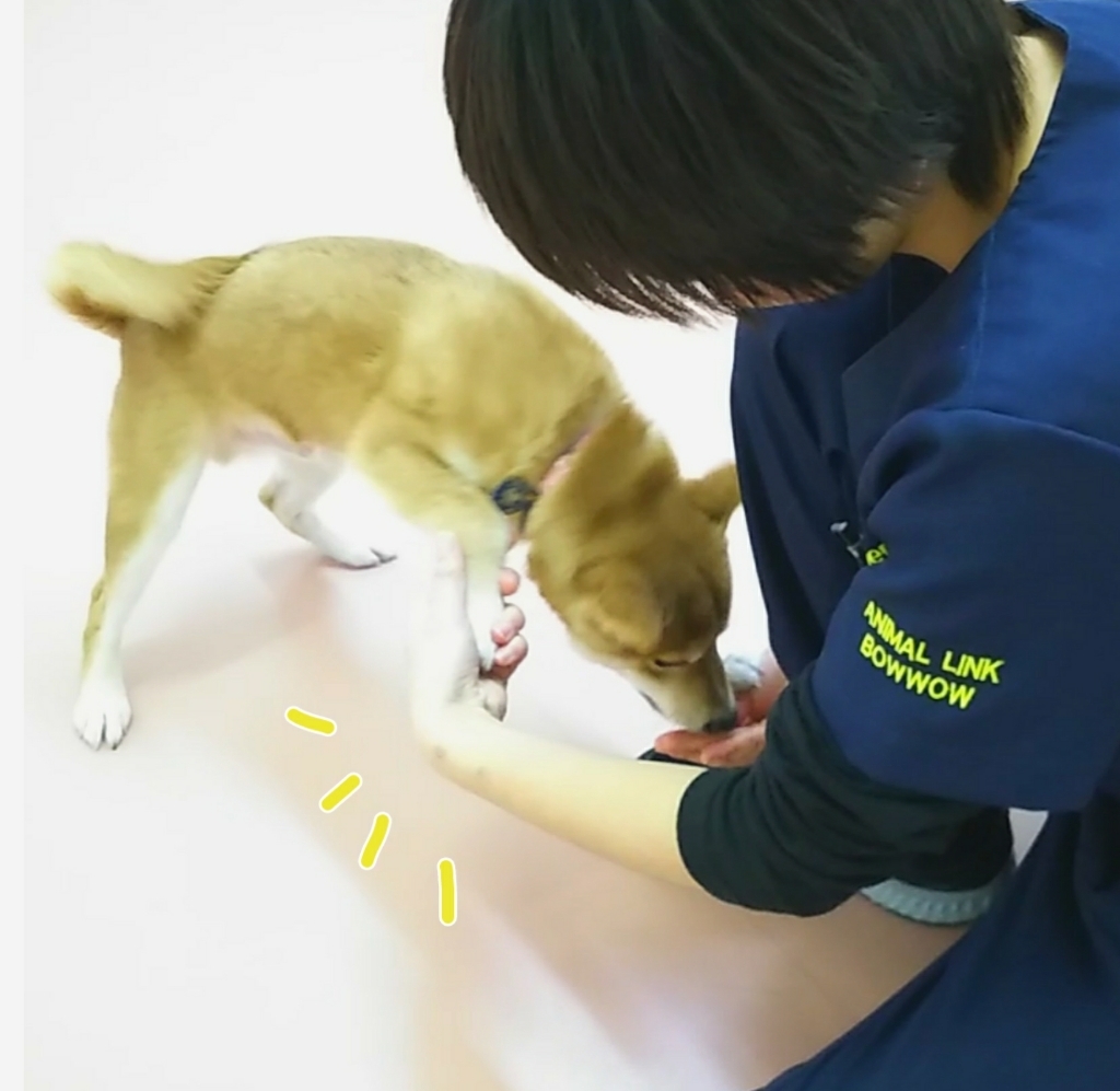 トレーニングブログ_f0357682_16134490.jpg