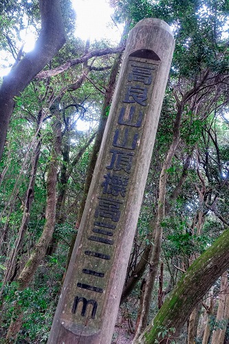 e0176993_07211000.jpg