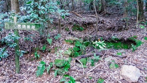 e0176993_07211090.jpg