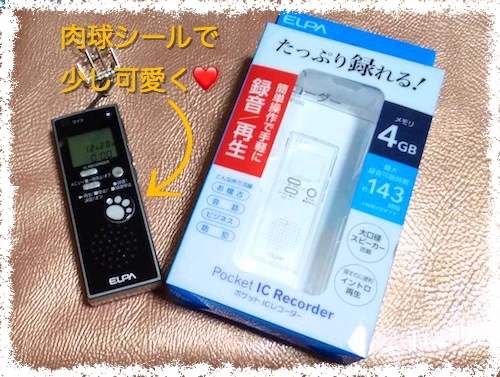 ポケットicレコーダーを衝動買い Mutsuぼっくり ポケットicレコーダーを衝動買い Mutsuぼっくり