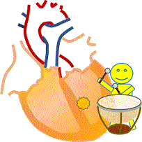 d0364500_01113946.gif