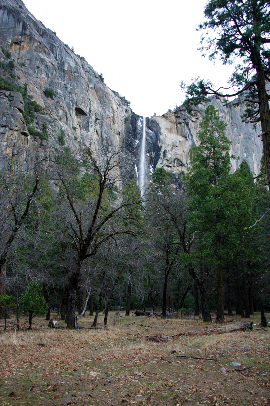 d0361902_11573196.jpg