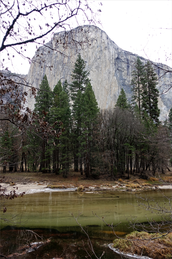 d0361902_123550.jpg