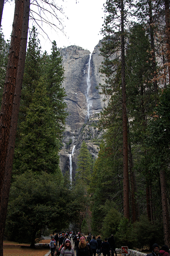 d0361902_12474147.jpg