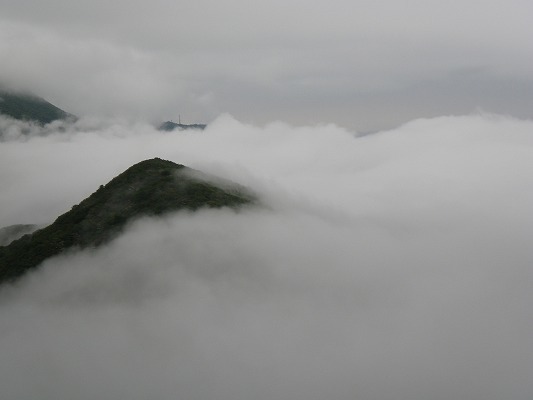 f0187402_23264540.jpg