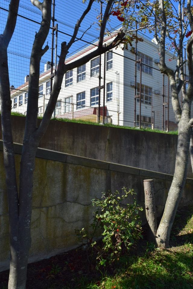 函館市立青柳小学校(函館の建築再訪)_f0142606_10324633.jpg