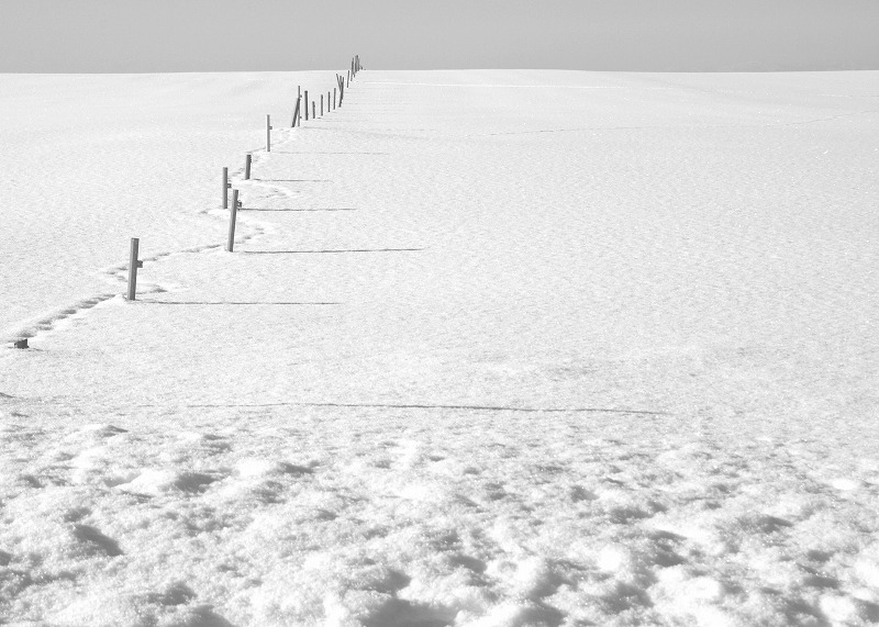 f0139911_14150084.jpg