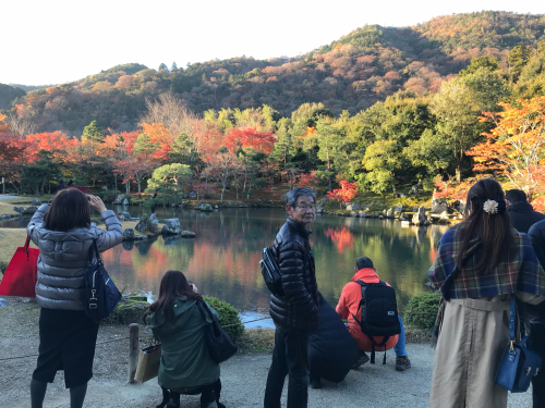 京都の紅葉 ３日目_a0043814_11305649.jpg