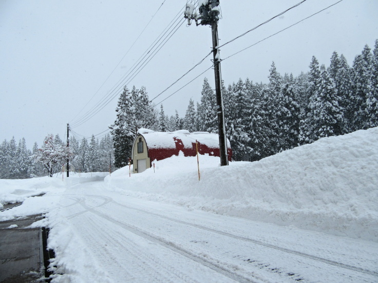 f0067514_22405020.jpg