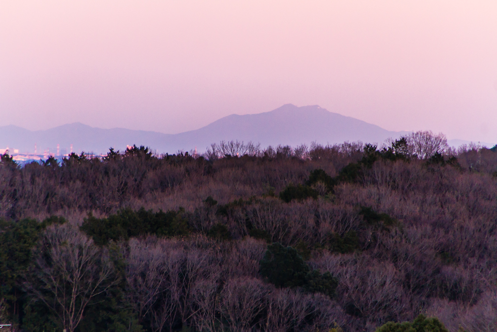 久しぶりの夕暮れ写真_b0010915_19221026.jpg