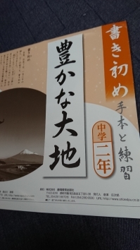 年末ですが…書初め_f0199615_21314213.jpg