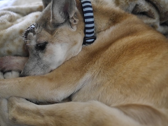 f0282319_21113206.jpg