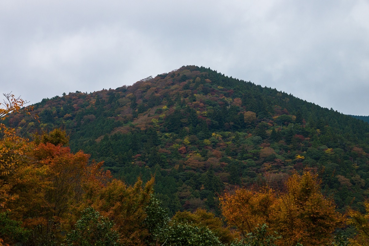 e0346322_01215166.jpg