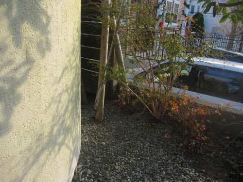 大掃除続き_e0350927_09424573.jpg