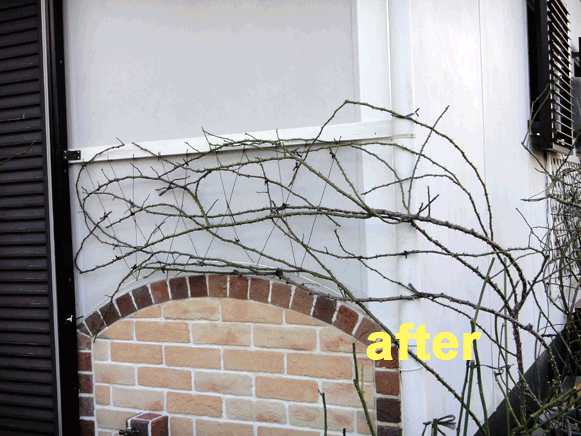 a0056140_22420548.gif