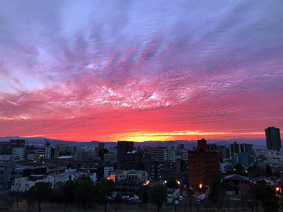 a0135840_19241946.jpg