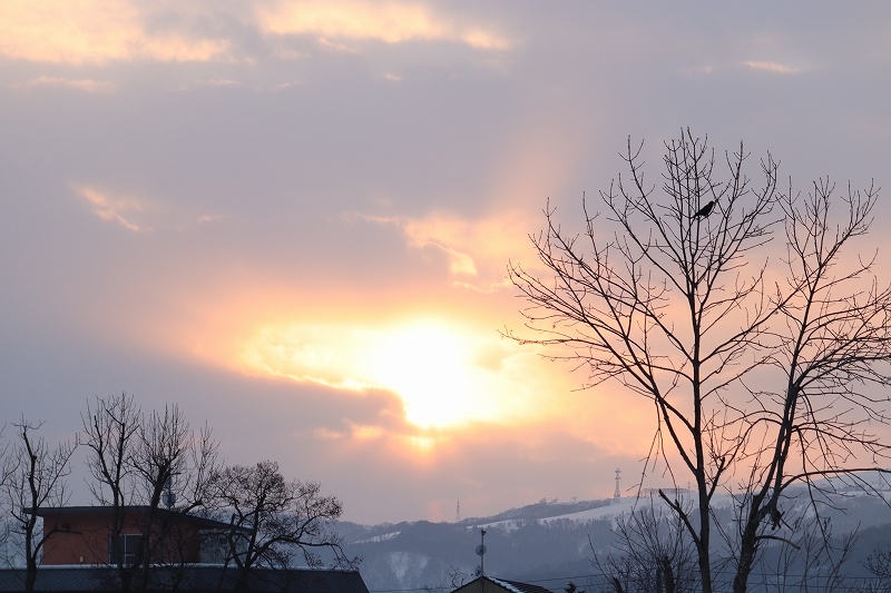 b0250154_22260599.jpg