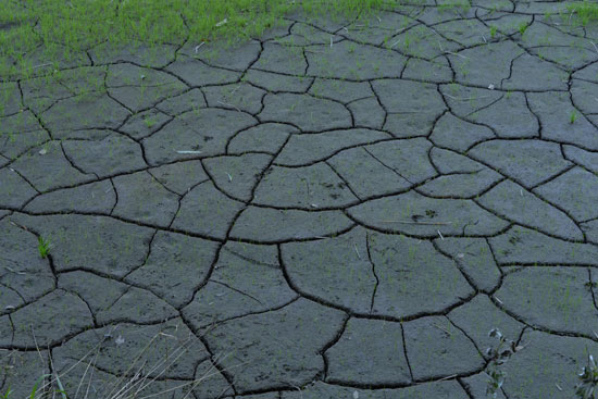 b0016557_9453477.jpg